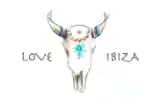 
       
      Love Ibiza Kortingscode
      